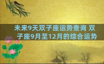 未来9天双子座运势查询 双子座9月至12月的综合运势